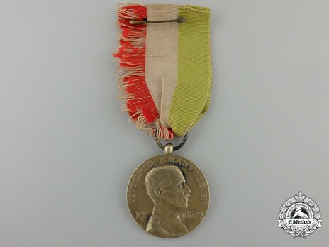 Medal of Merit for Italian Schools Abroad, Type II, in Silver Obverse