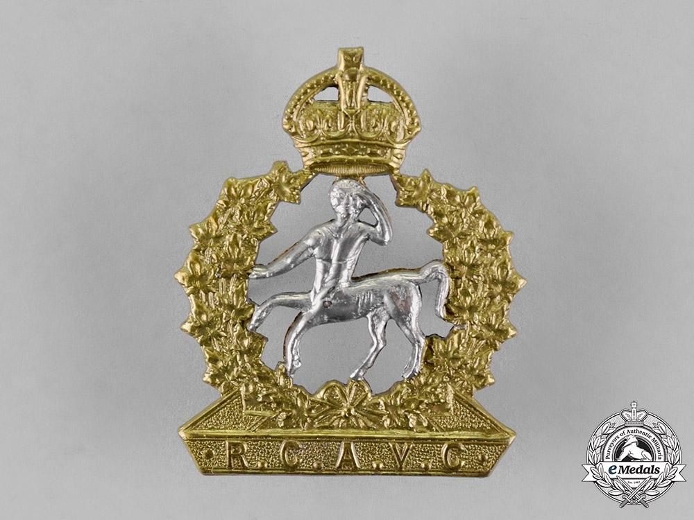 C18 019883