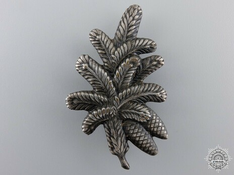 RAD Arbeitsgau XXVII Baden Tradition Cap Badge Obverse
