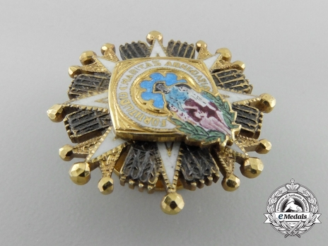 Miniature I Class Breast Star (white distinction) Obverse
