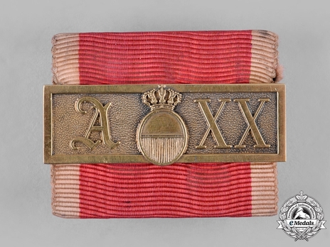 Long Service Bar, Type I, 20 years