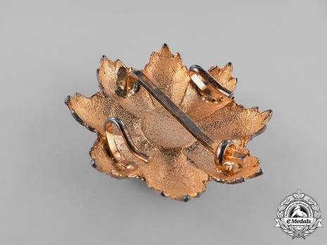 Order of the Two Rivers (Wisam al-Imtiaz-i-Rafidain), Civil Division, Grand Cordon Breast Star 