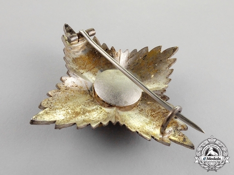 Order of Saint Rita of Cascia, Grand Cross Breast Star Reverse
