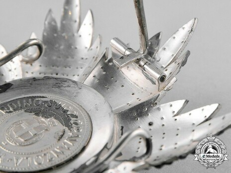 Military Order of Savoy, Type II, Grand Cross Breast Star Reverse Detail