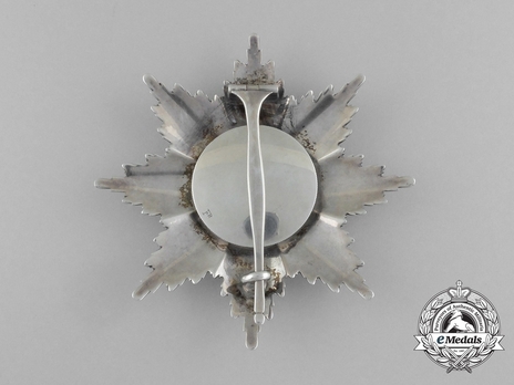 Order of the Red Eagle, Type VI, I Class Breast Star Reverse