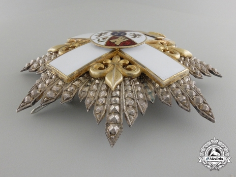 2nd Class Breast Star (white distinction) (with Fleur de Lys and Royal Crown) (Silver and Silver gilt) Obverse