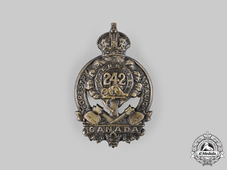 242nd Infantry Battalion Other Ranks Cap Badge Obverse