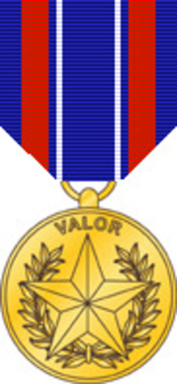 Sec def medal for valor