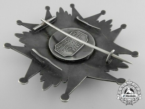 Breast Star (Silver) Reverse
