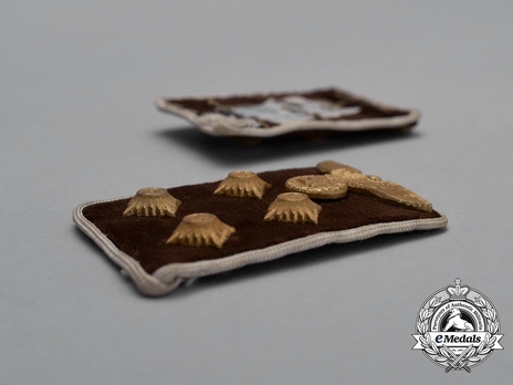 NSDAP Gemeinschaftsleiter Type IV Kreis Level Collar Tabs