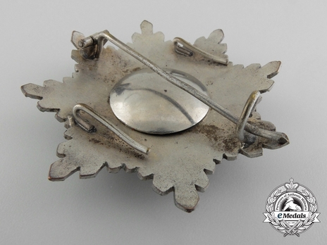 Breast Star (for Senior Officers) (bronze silvered) Reverse