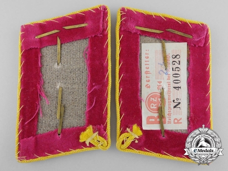 NSDAP Abschnittsleiter Type IV Reich Level Collar Tabs Reverse