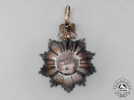 Order of Merit, Type I, Grand Officer Reverse