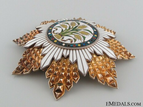 Order of the Golden Grain, I Class Star Obverse