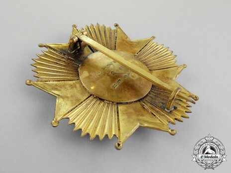 Grand Officer Breast Star Reverse