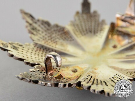 Order of Saint Sava, Type III, II Class Breast Star Reverse Detail