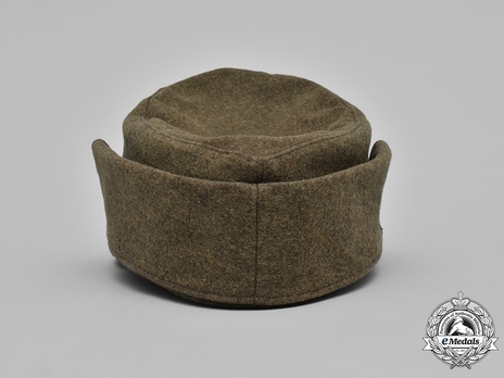 RAD Winter Cap Back