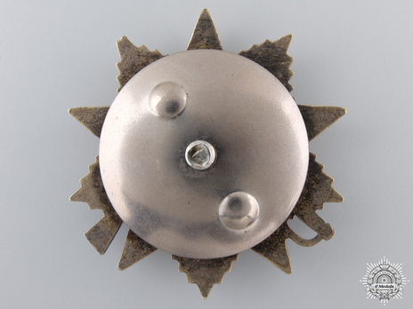 Order of Alexander Nevsky I Class Medal Reverse 