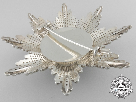 Type II, Grand Cross Breast Star (in silver and gold) Reverse