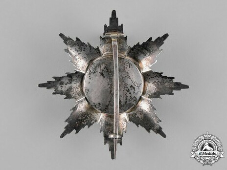 Order of the Double Dragon, Type I, II Class, II Grade Breast Star Reverse