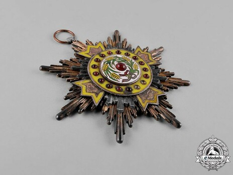 Order of Illustrious Brilliant Golden Grain, I Class Star Obverse