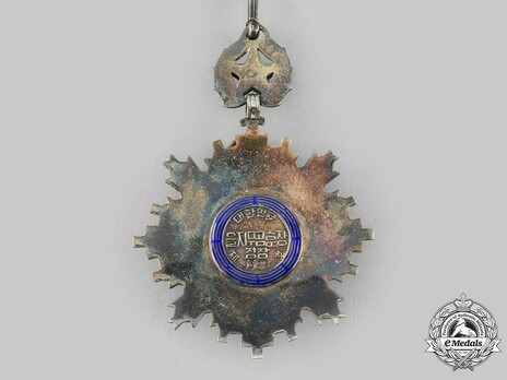 Order of Military Merit, Type II, II Class (Eulji) Reverse
