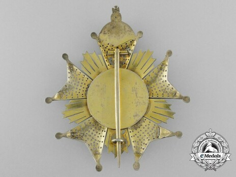 Dignitary Breast Star Reverse