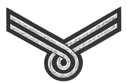 DAF 4th Pattern Work Troop Betriebsblockobmann, Mitarbeiter, Walter & Warte Sleeve Rank Insignia Obverse