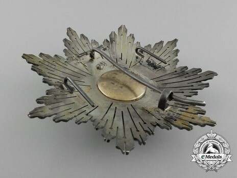 2nd Class Breast Star (white distinction) (with Fleur de Lys and Royal Crown) (Silver and Silver gilt) Reverse