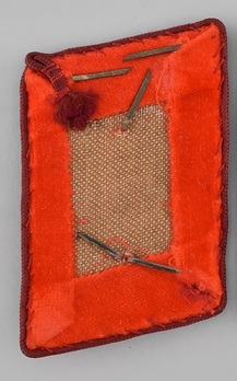 NSDAP Arbeitsleiter Type IV Gau Level Collar Tabs Reverse
