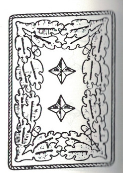 RMBO Pre-1943 Generalkommissar - Ministerialdirektor Collar Tabs Obverse