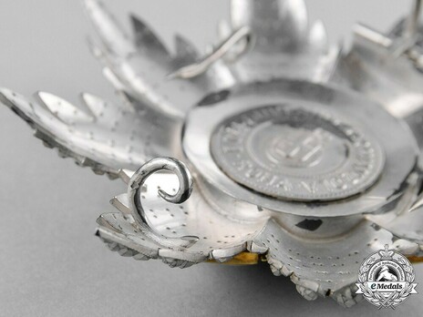 Military Order of Savoy, Type II, Grand Cross Breast Star Reverse Detail