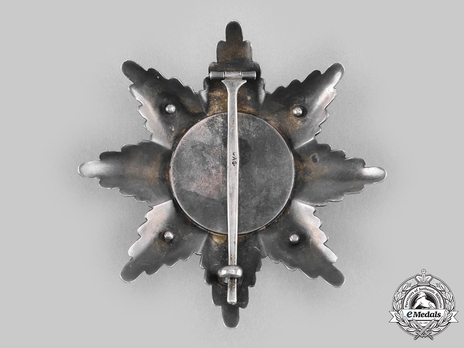 Order of St. Alexander, Type II, Military Division, II Class Breast Star Reverse