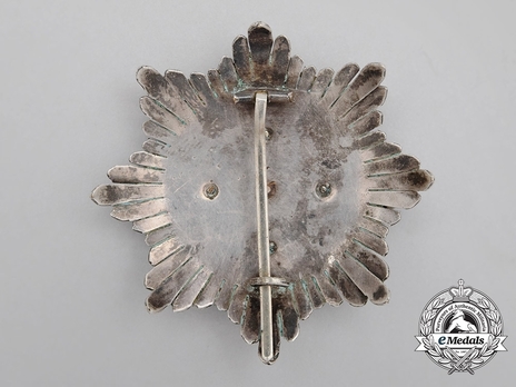 Cross ( silvered bronze, silver gilt) Reverse