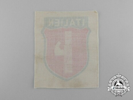 Italy Sleeve Insignia (2nd version) Reverse