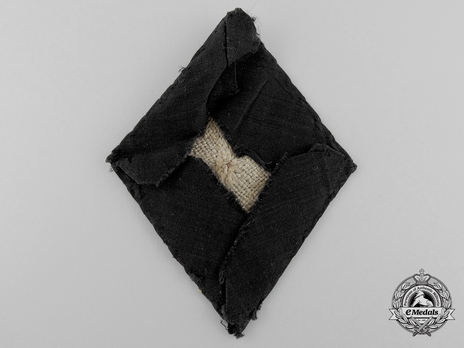 NSDAP Political Leader 1st pattern Sleeve Insignia Reverse