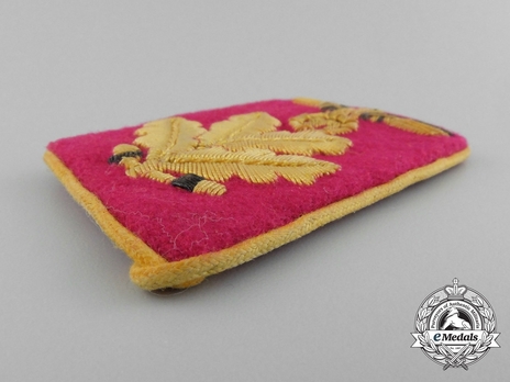 NSDAP Befehlsleiter Type IV Reich Level Collar Tabs Obverse