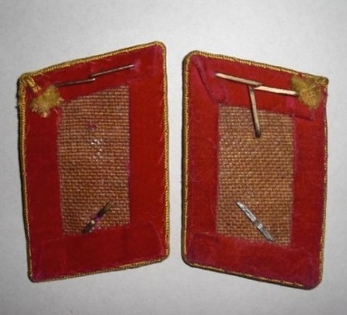 NSDAP Arbeitsleiter Type IV Reich Level Collar Tabs Reverse