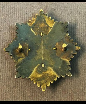 House Order of Saxe-Ernestine, Type I, Civil Division, Grand Cross Breast Star (for citizens) Reverse