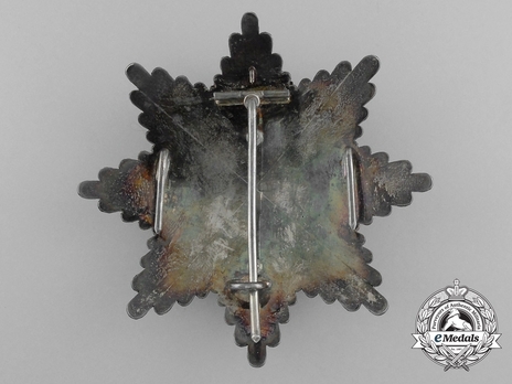 2nd Class Breast Star (white distinction) (1875-1925) Reverse