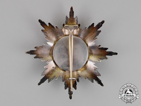 Order of the Red Eagle, Type V, Civil Division, I Class Breast Star Reverse