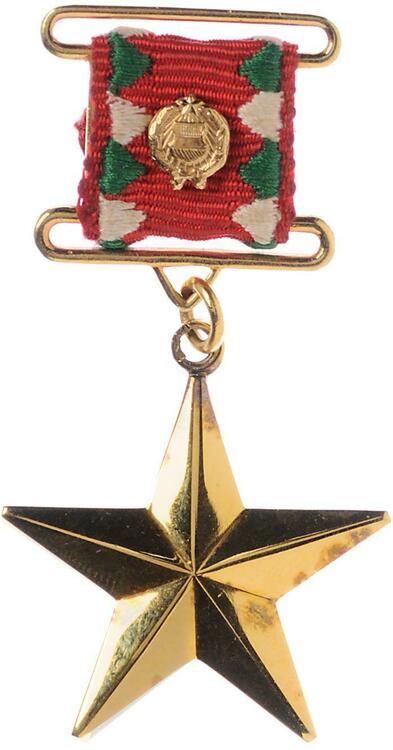 Hungary+hero+of+the+people%27s+republic+gold+star