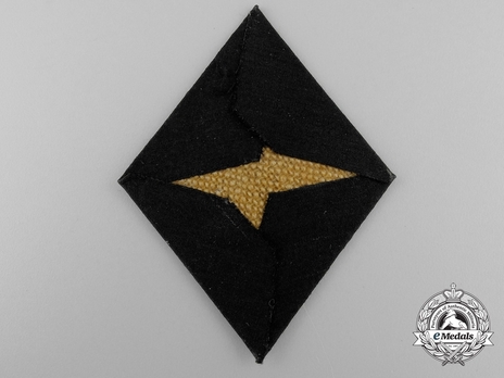NSDAP Political Leader 2nd pattern Sleeve Insignia Reverse