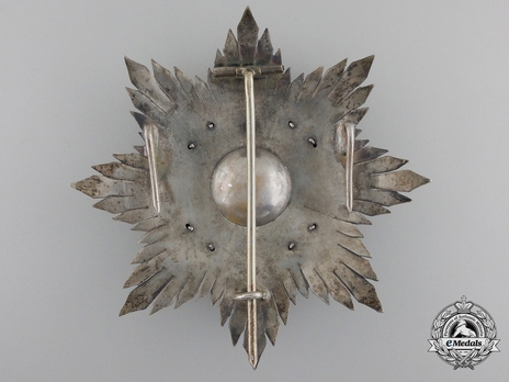 2nd Class Breast Star (white distinction pension) (with Fleur de Lys and Royal Crown) (Silver gilt) Reverse