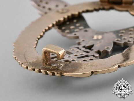 Combined Pilot/Observer Badge (2nd Model), with Diamonds Reverse Detail