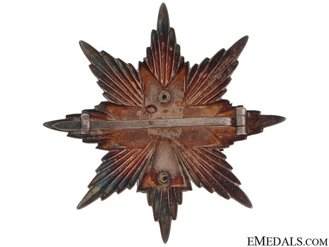 I Class Grand Officer Breast Star (with oak leaves) Reverse