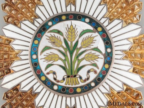 Order of the Golden Grain, I Class Star Obverse Detail