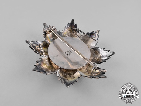 I Class Grand Cordon Breast Star Reverse