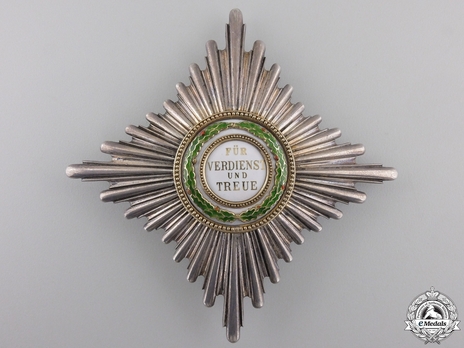 Order of Merit, Type II, Civil Division, I Class Commander Breast Star Obverse
