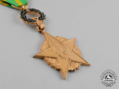 Order of the Sword, I Class Obverse